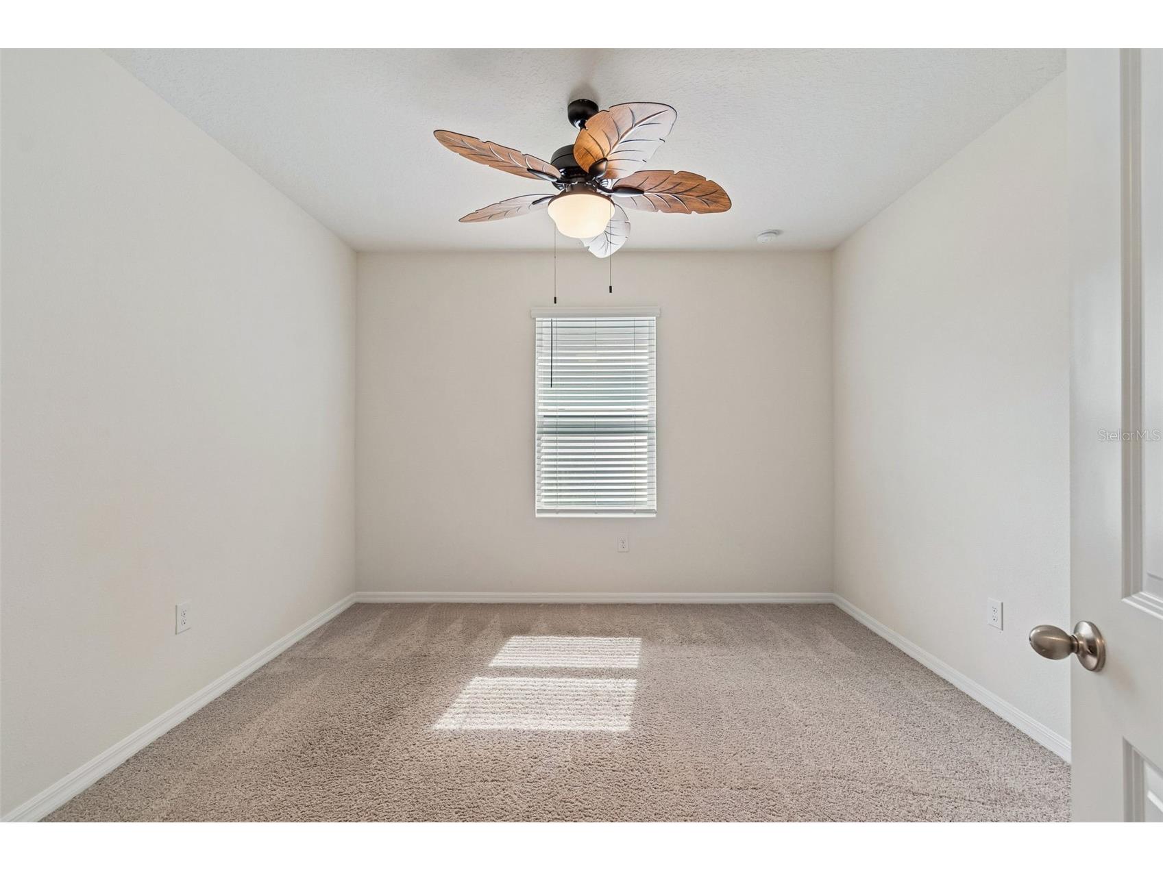 35525 Stella Vast Drive Zephyrhills FL 33541 TB8517751 image15