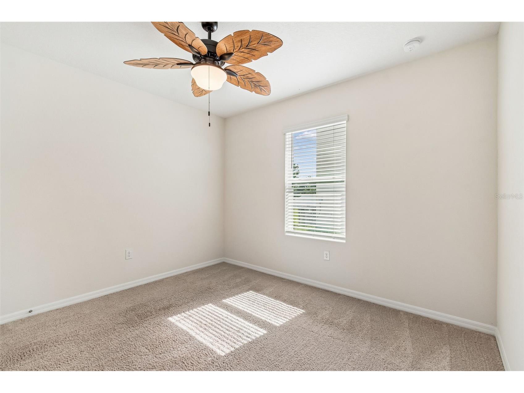 35525 Stella Vast Drive Zephyrhills FL 33541 TB8517751 image17