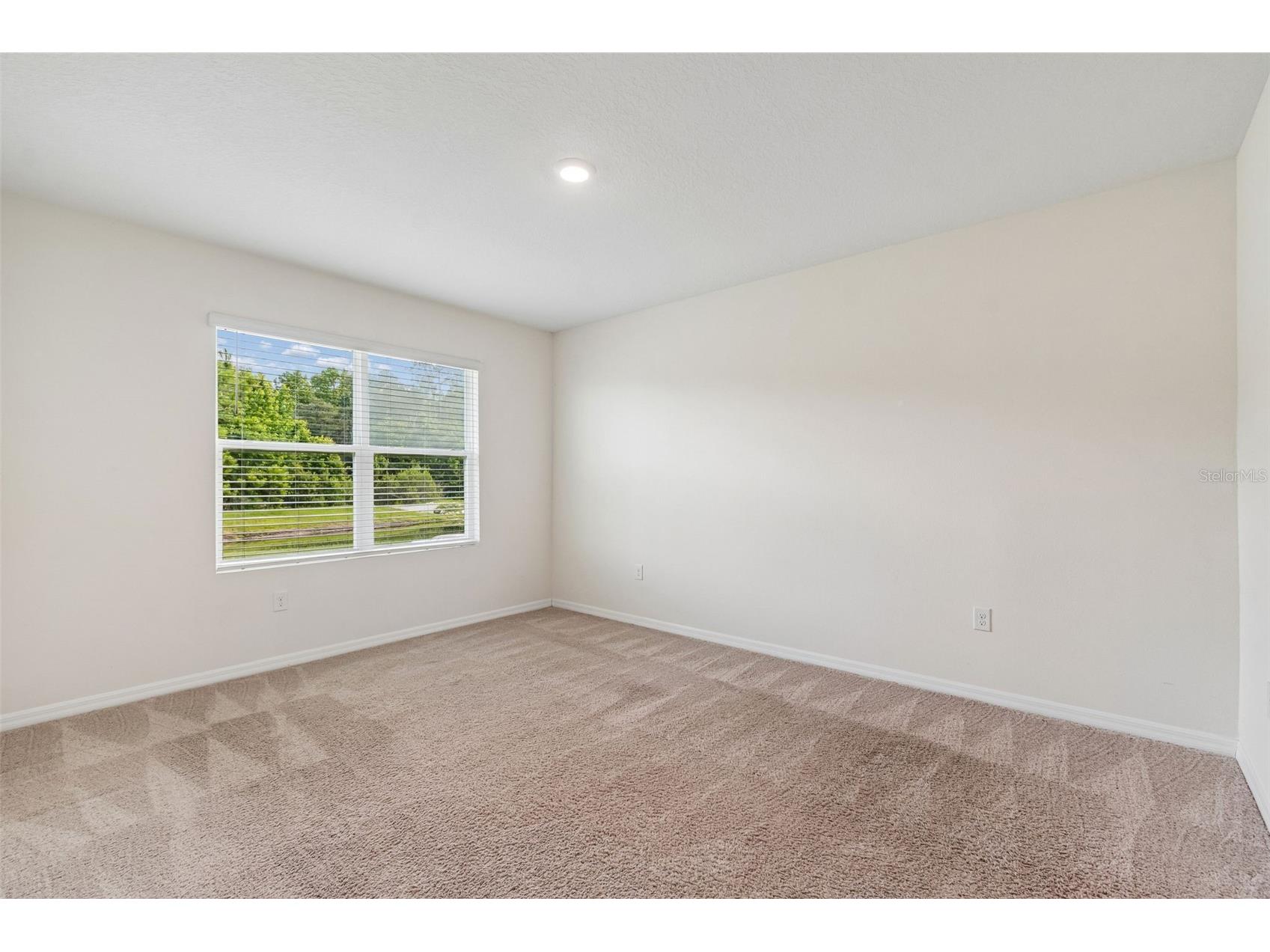 35525 Stella Vast Drive Zephyrhills FL 33541 TB8517751 image32