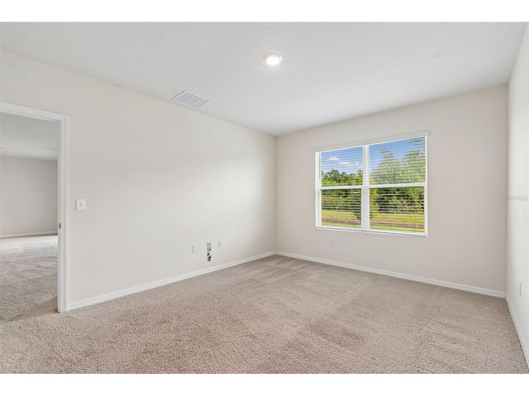 35525 Stella Vast Drive Zephyrhills FL 33541 TB8517751 image33