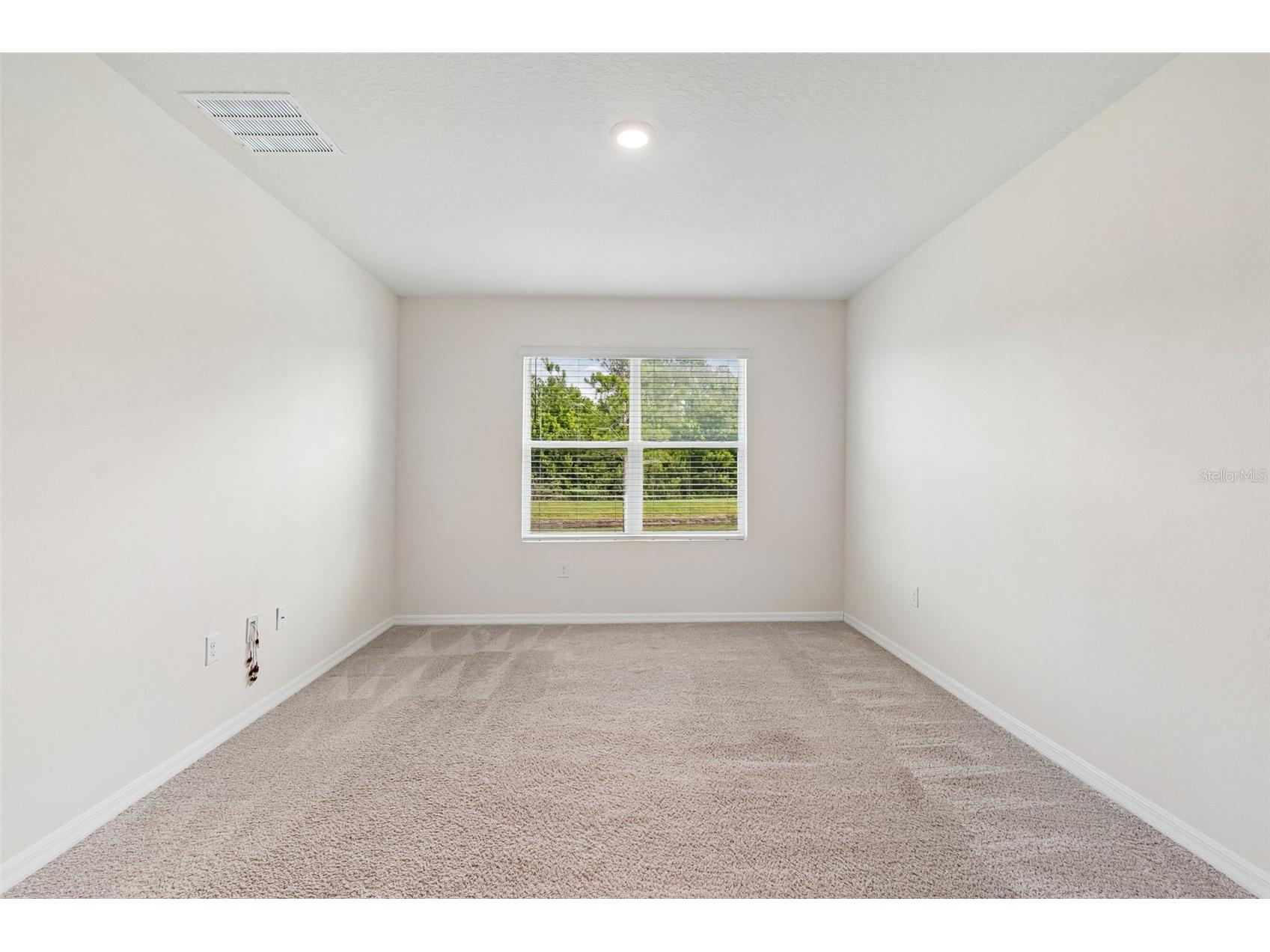 35525 Stella Vast Drive Zephyrhills FL 33541 TB8517751 image35