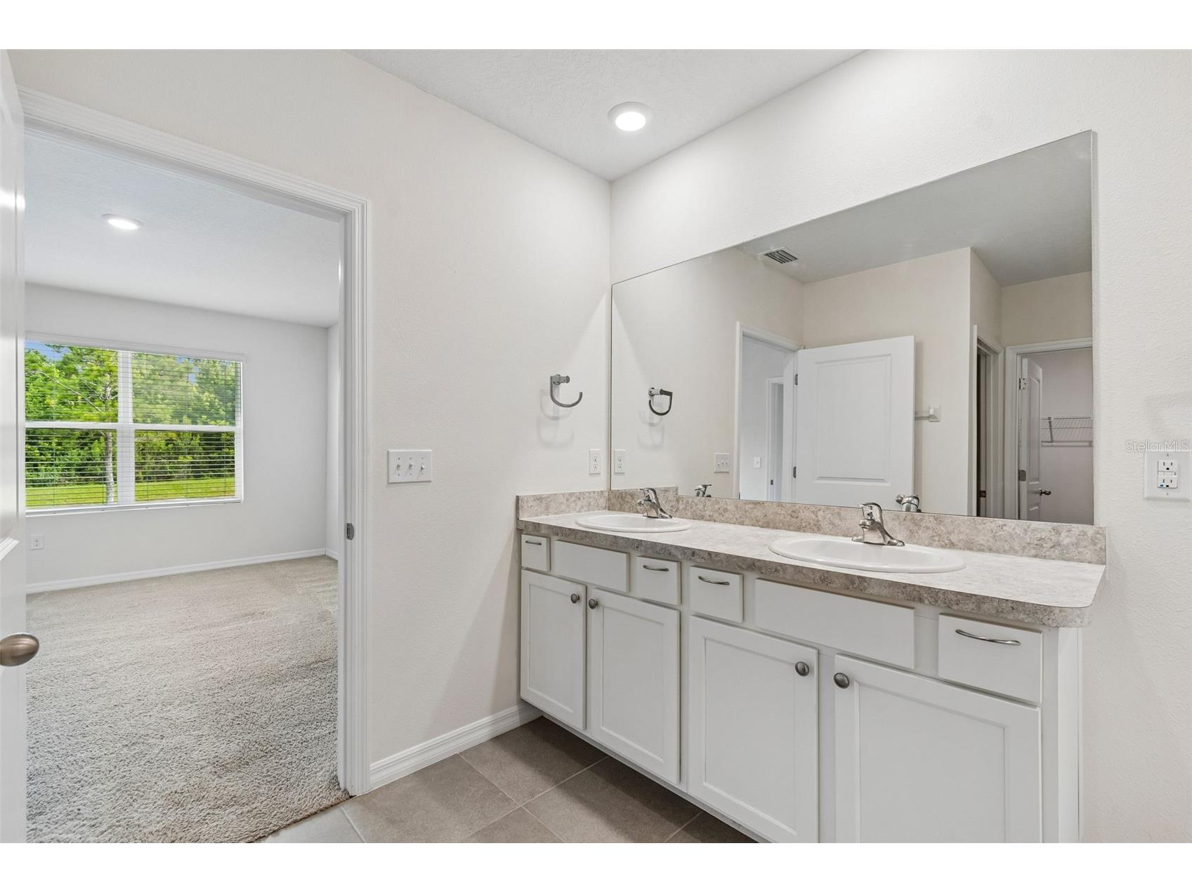 35525 Stella Vast Drive Zephyrhills FL 33541 TB8517751 image37