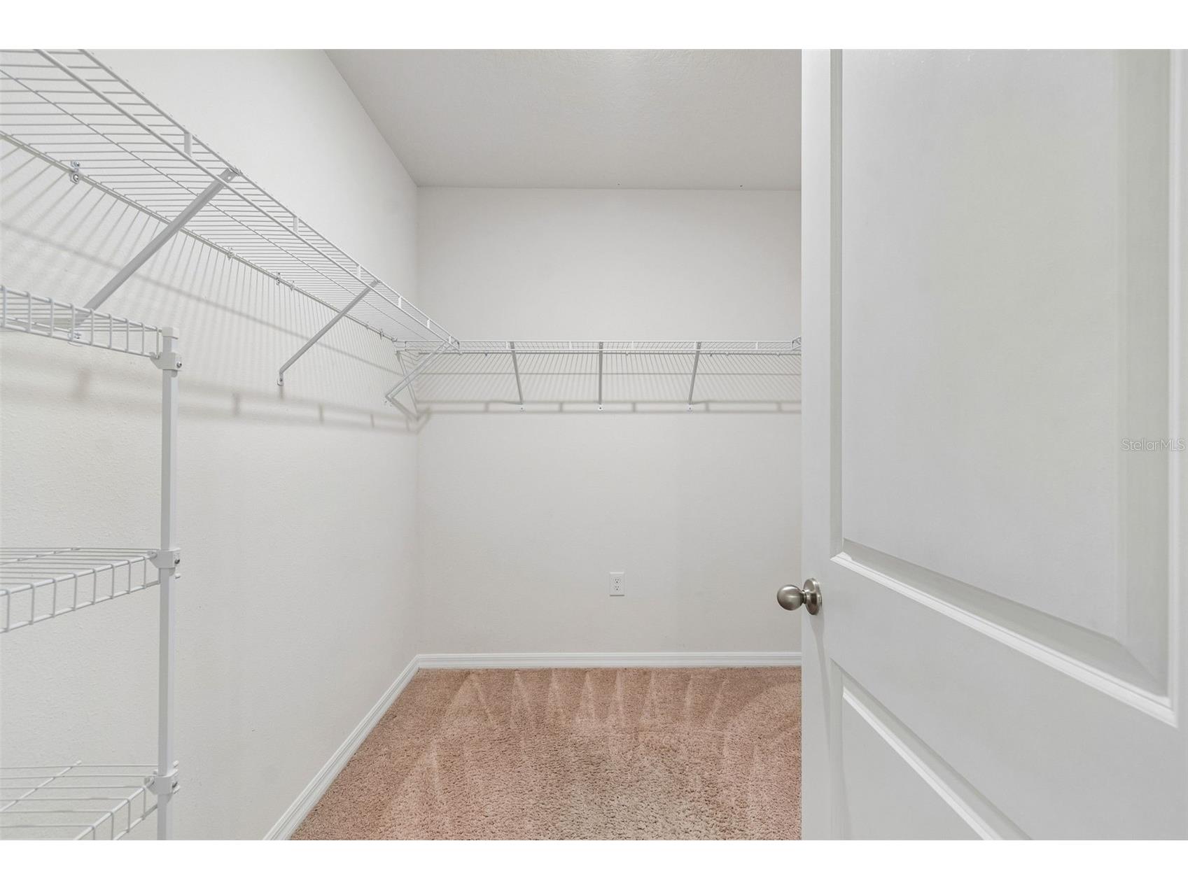 35525 Stella Vast Drive Zephyrhills FL 33541 TB8517751 image39