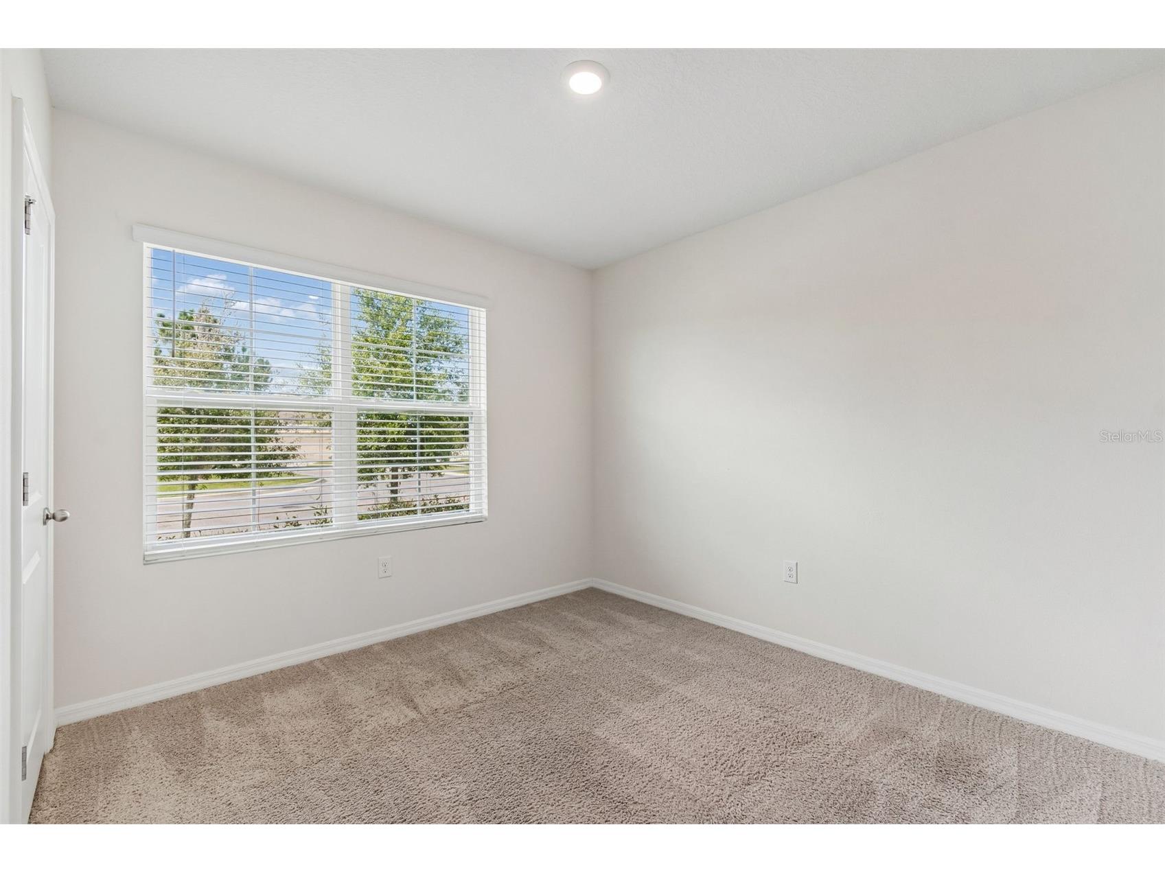 35525 Stella Vast Drive Zephyrhills FL 33541 TB8517751 image4