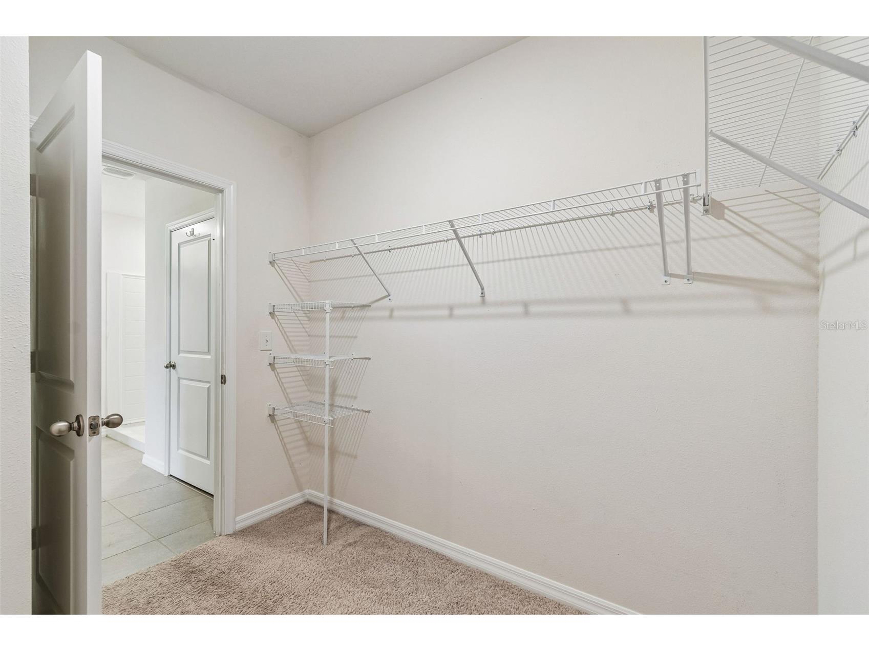 35525 Stella Vast Drive Zephyrhills FL 33541 TB8517751 image40