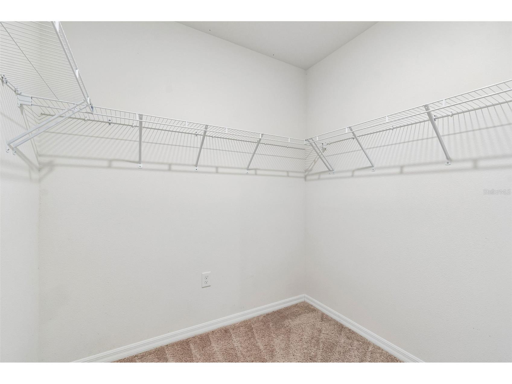 35525 Stella Vast Drive Zephyrhills FL 33541 TB8517751 image41