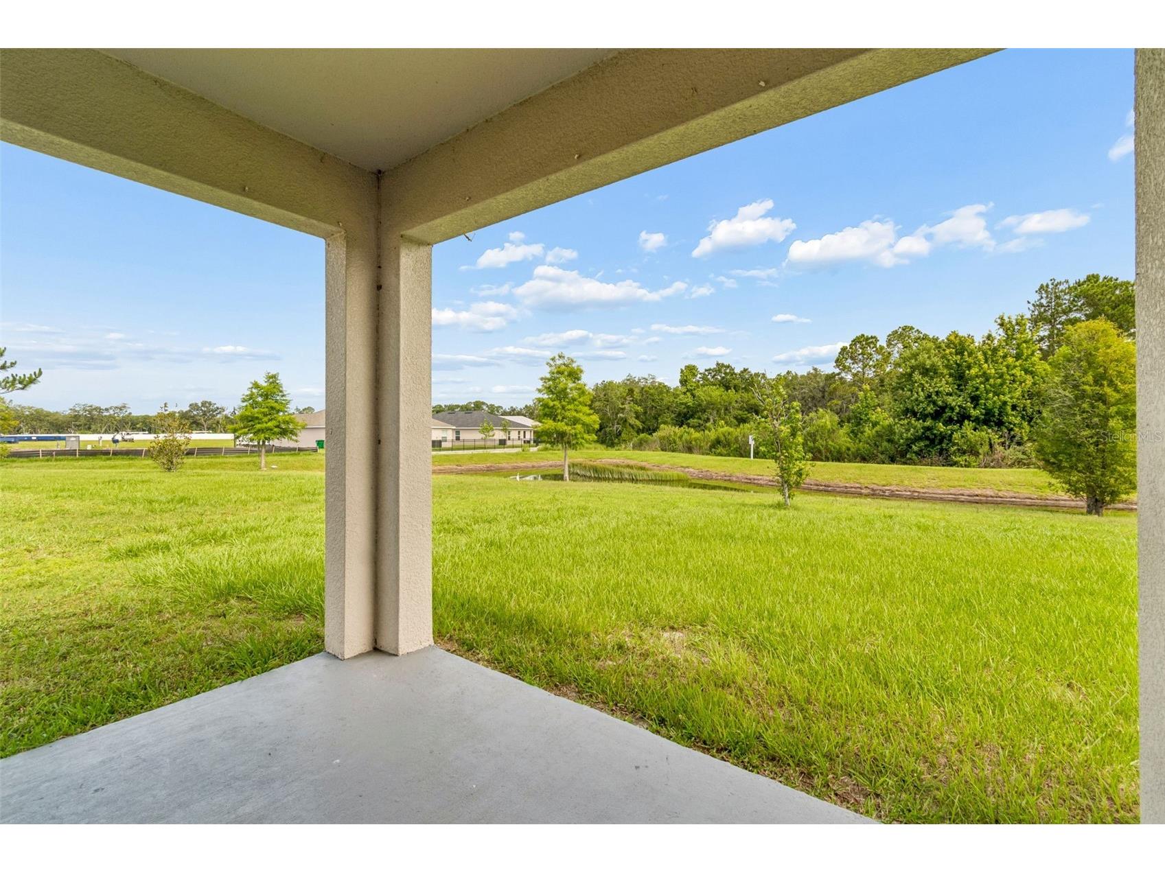35525 Stella Vast Drive Zephyrhills FL 33541 TB8517751 image44
