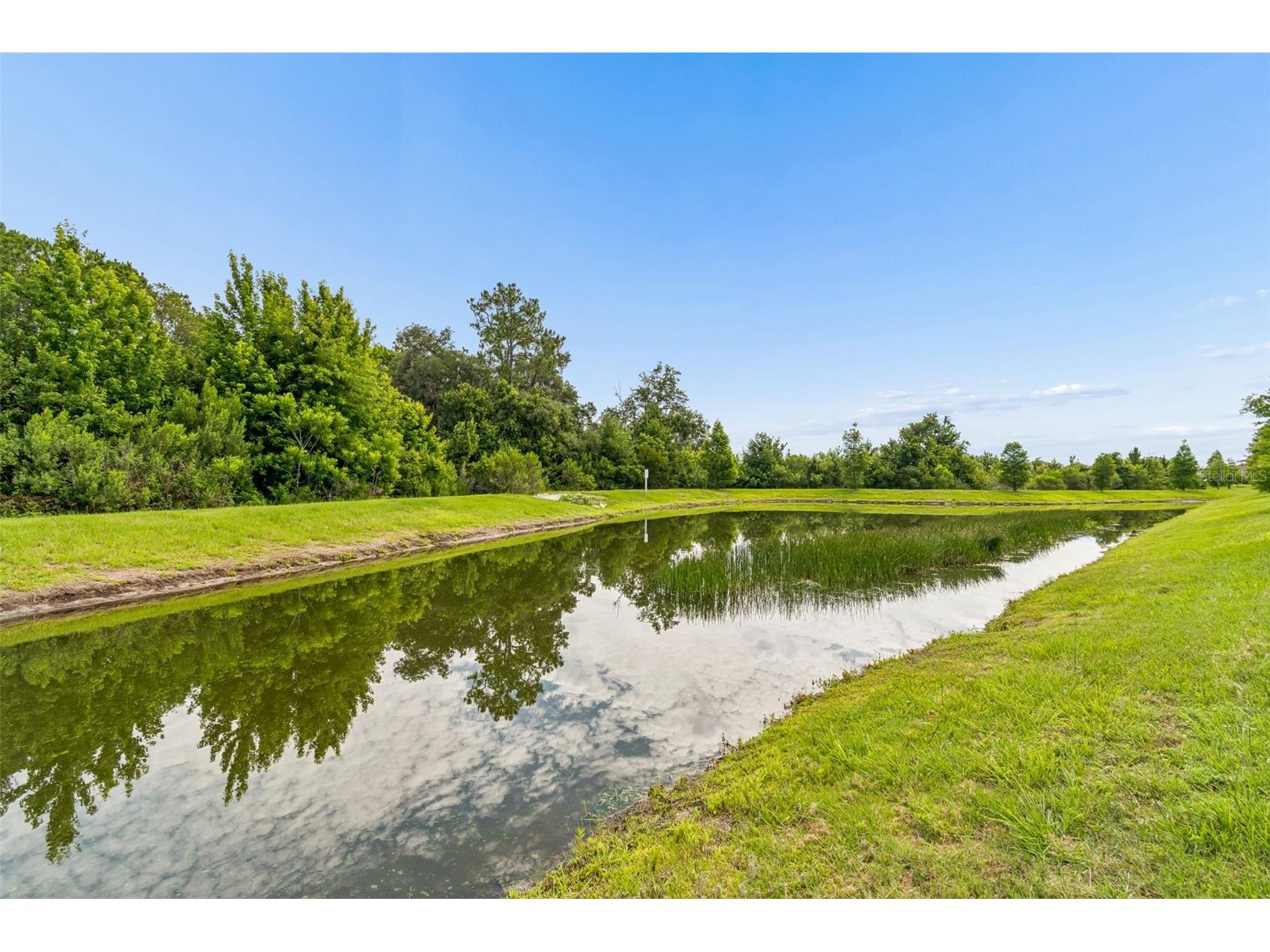 35525 Stella Vast Drive Zephyrhills FL 33541 TB8517751 image49