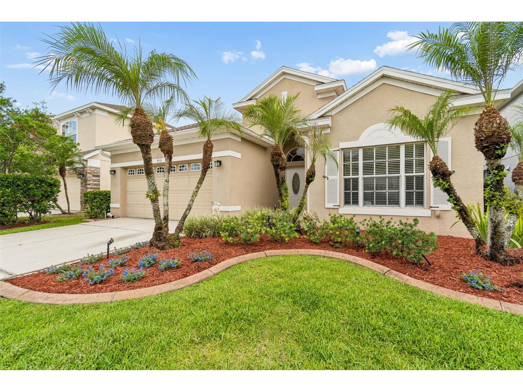 3553 Morgans Bluff Court Land O Lakes FL 34639 TB8521682 image2