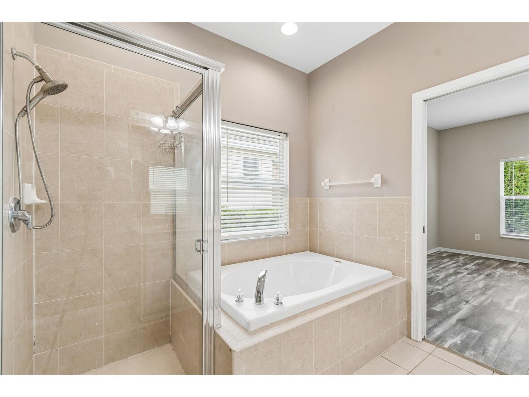 3553 Morgans Bluff Court Land O Lakes FL 34639 TB8521682 image38