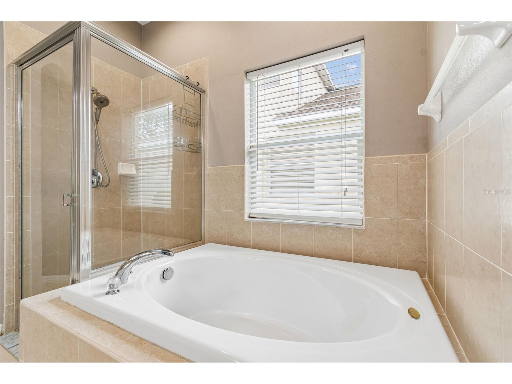 3553 Morgans Bluff Court Land O Lakes FL 34639 TB8521682 image39