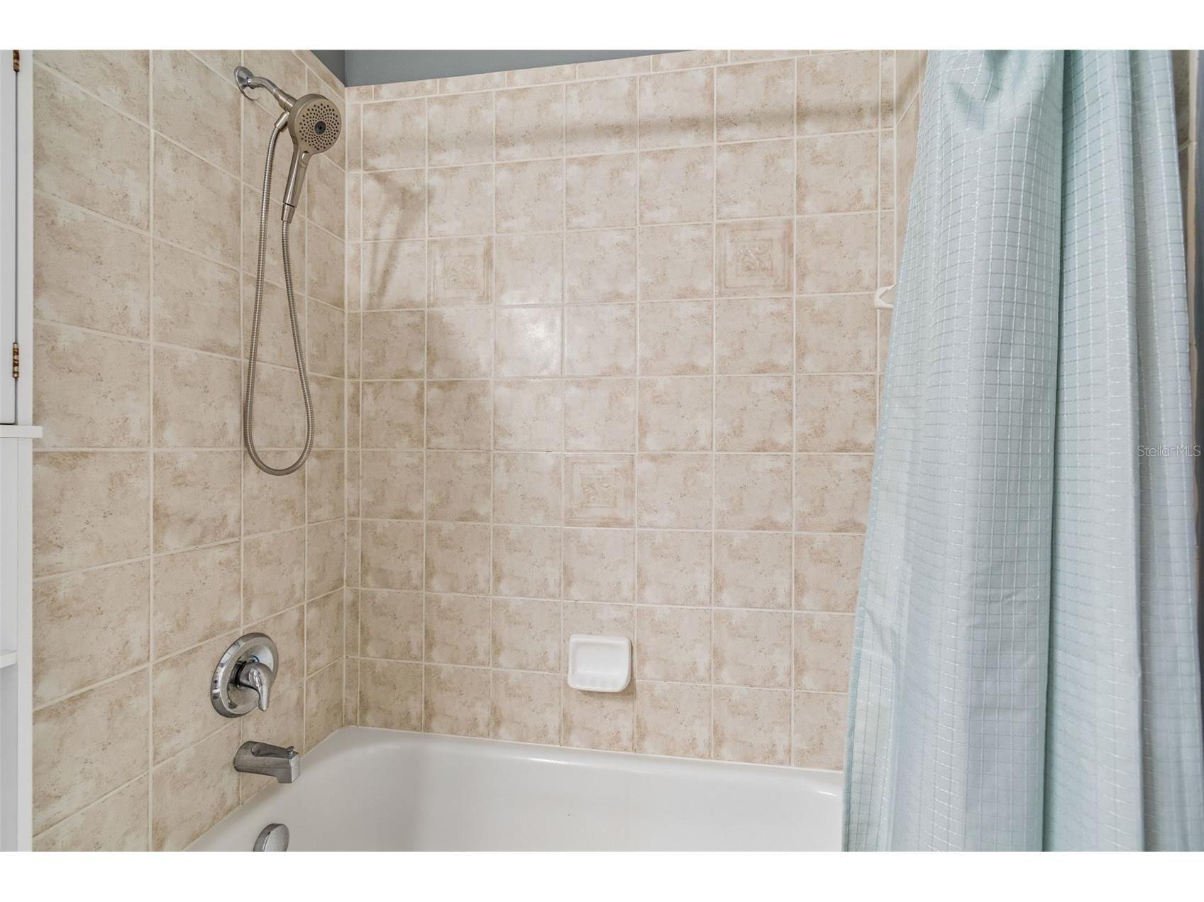 3553 Morgans Bluff Court Land O Lakes FL 34639 TB8521682 image45