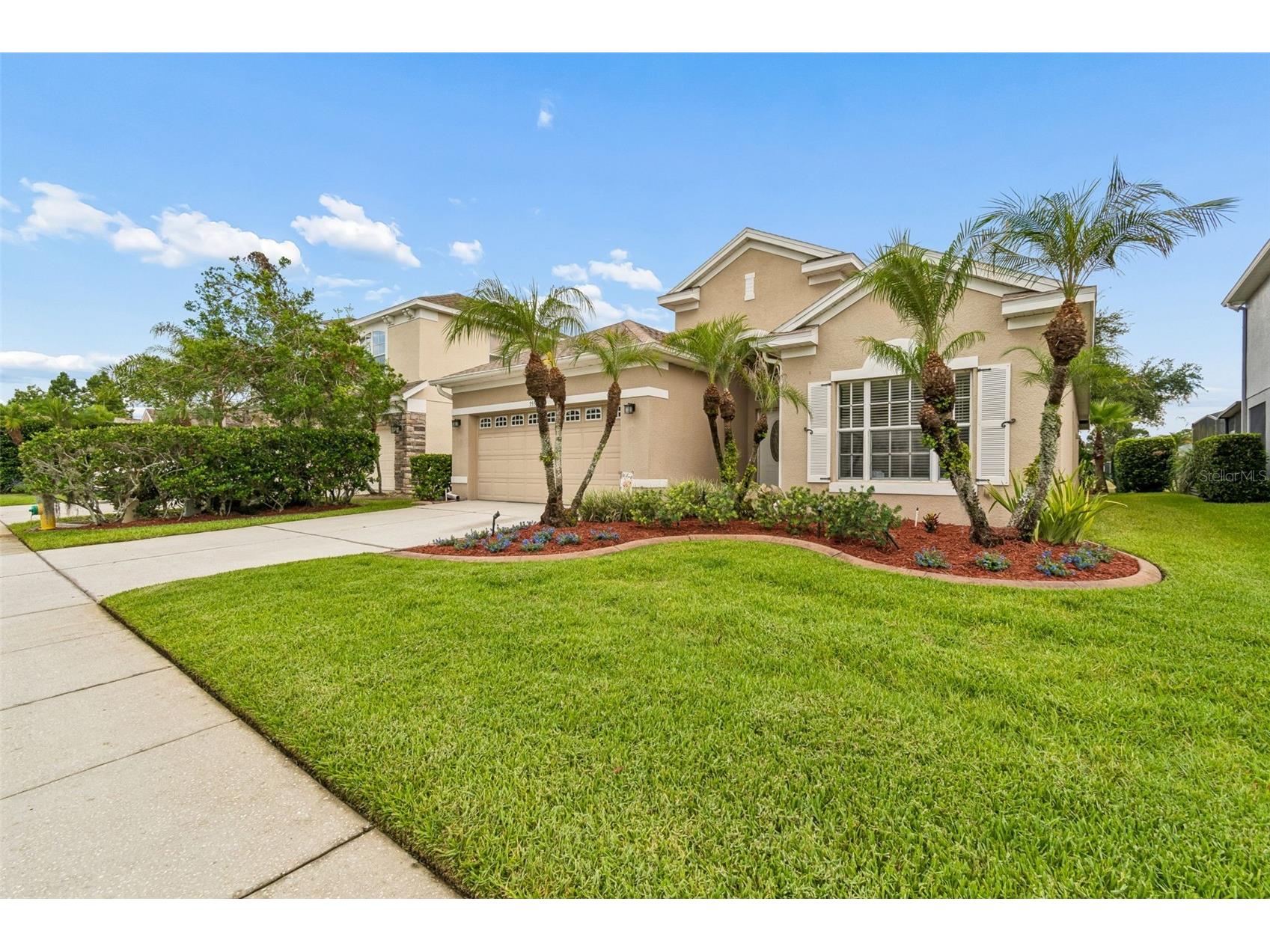 3553 Morgans Bluff Court Land O Lakes FL 34639 TB8521682 image5