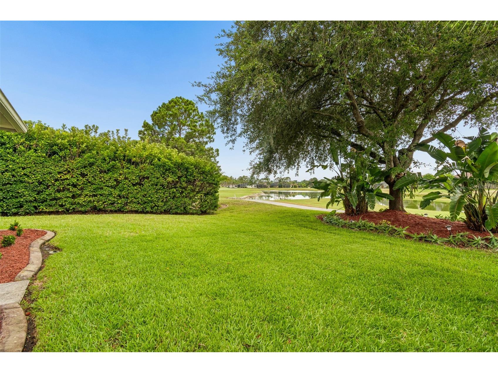 3553 Morgans Bluff Court Land O Lakes FL 34639 TB8521682 image63