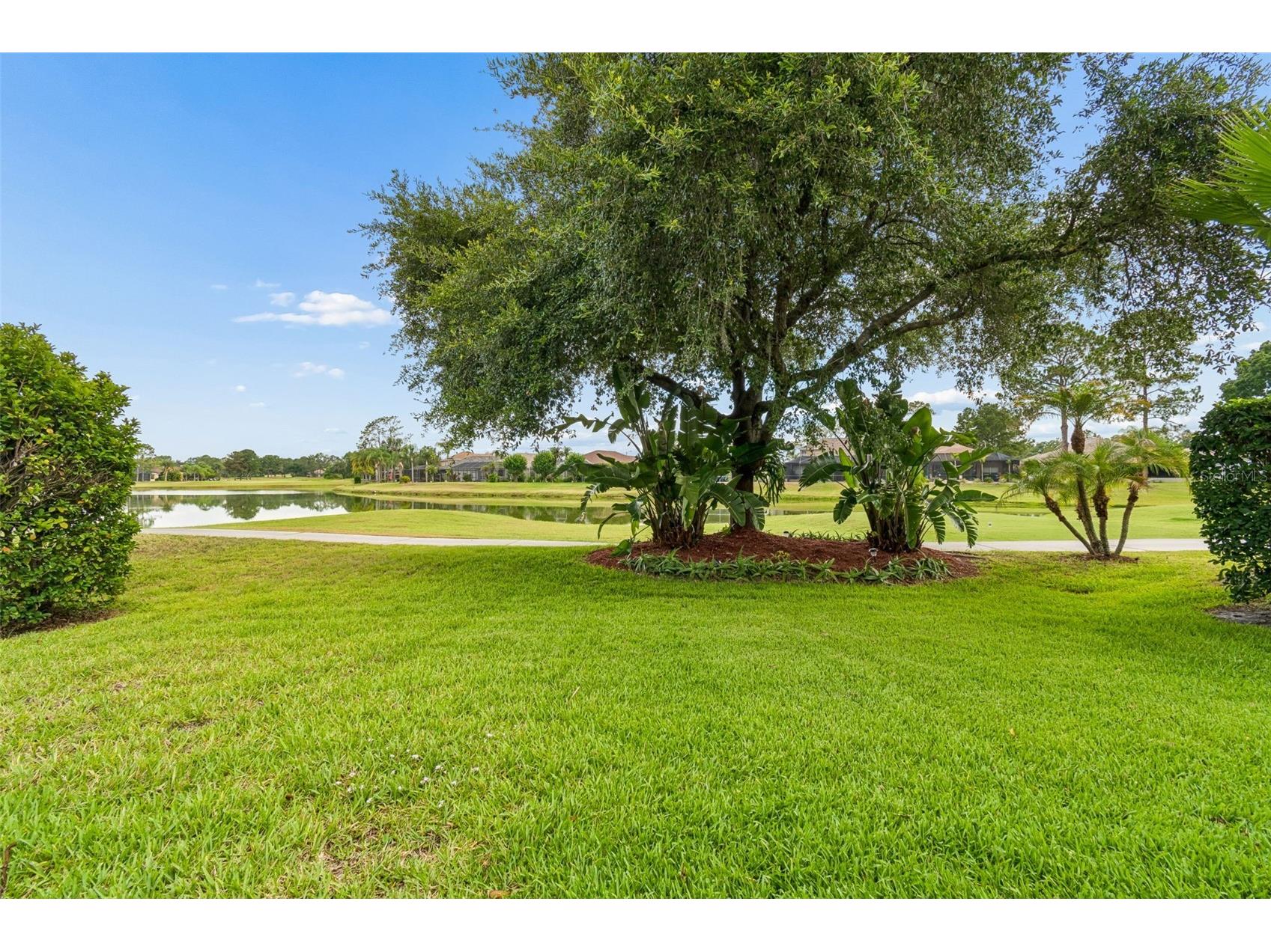 3553 Morgans Bluff Court Land O Lakes FL 34639 TB8521682 image64