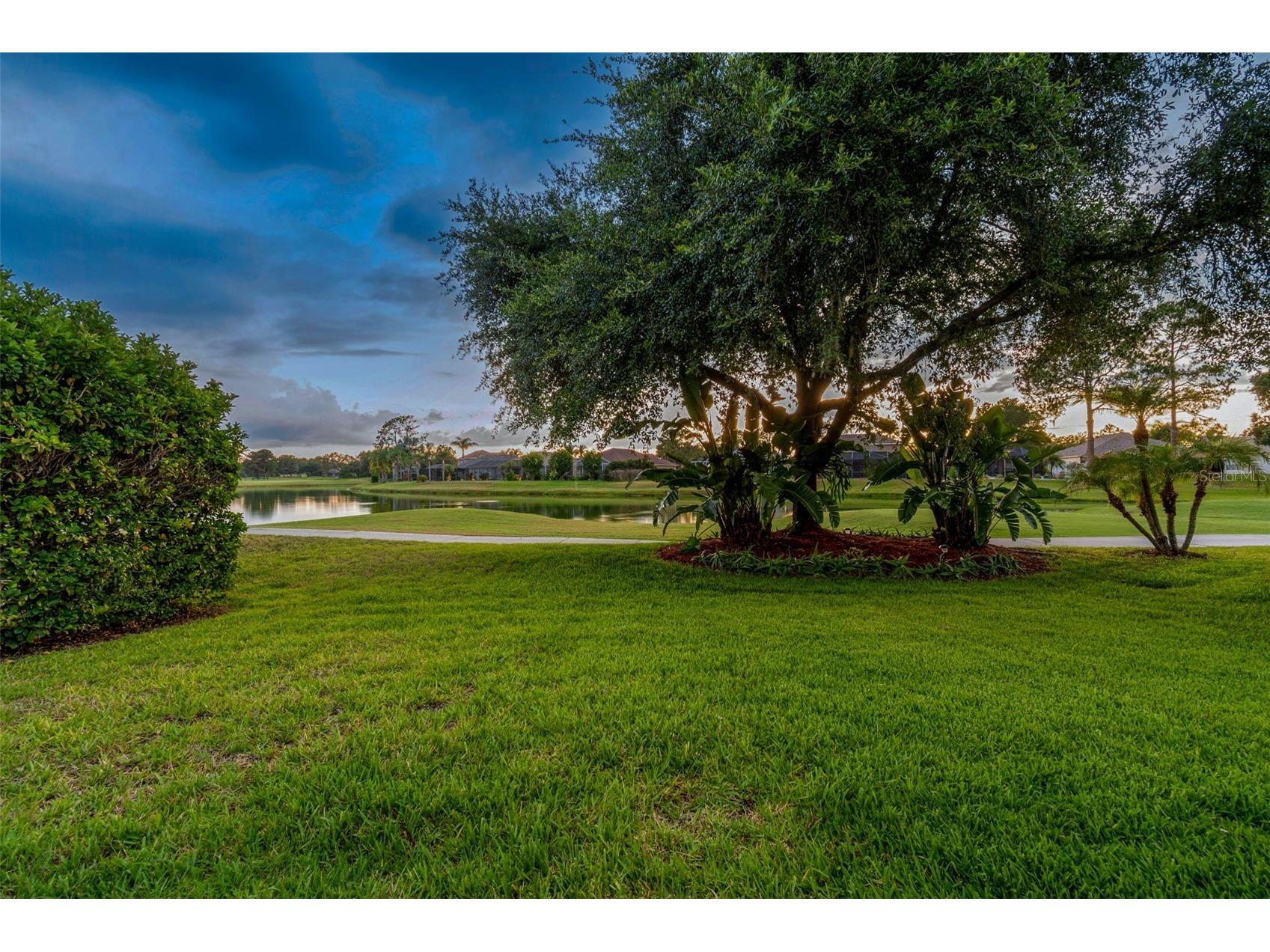 3553 Morgans Bluff Court Land O Lakes FL 34639 TB8521682 image65