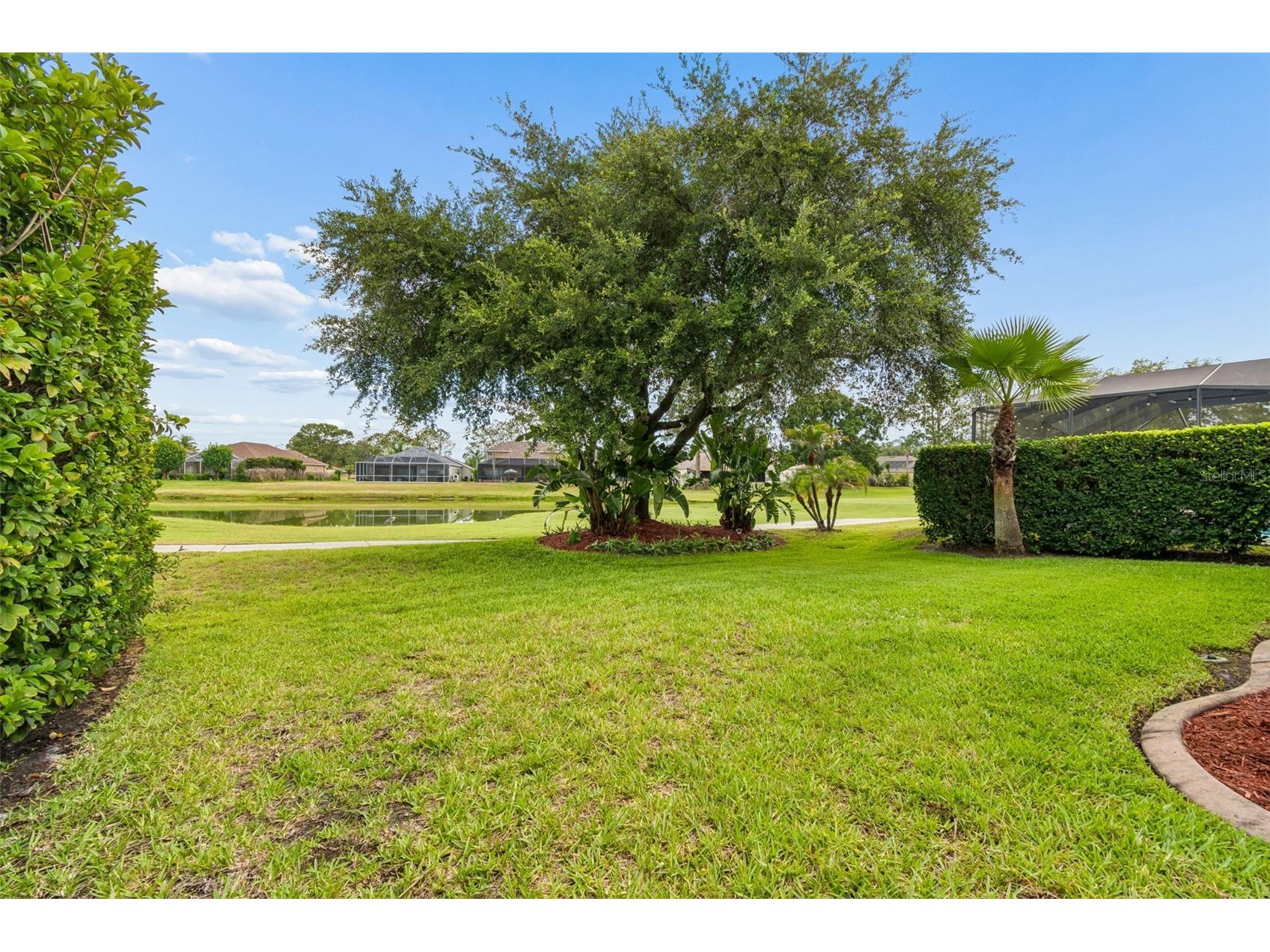 3553 Morgans Bluff Court Land O Lakes FL 34639 TB8521682 image66