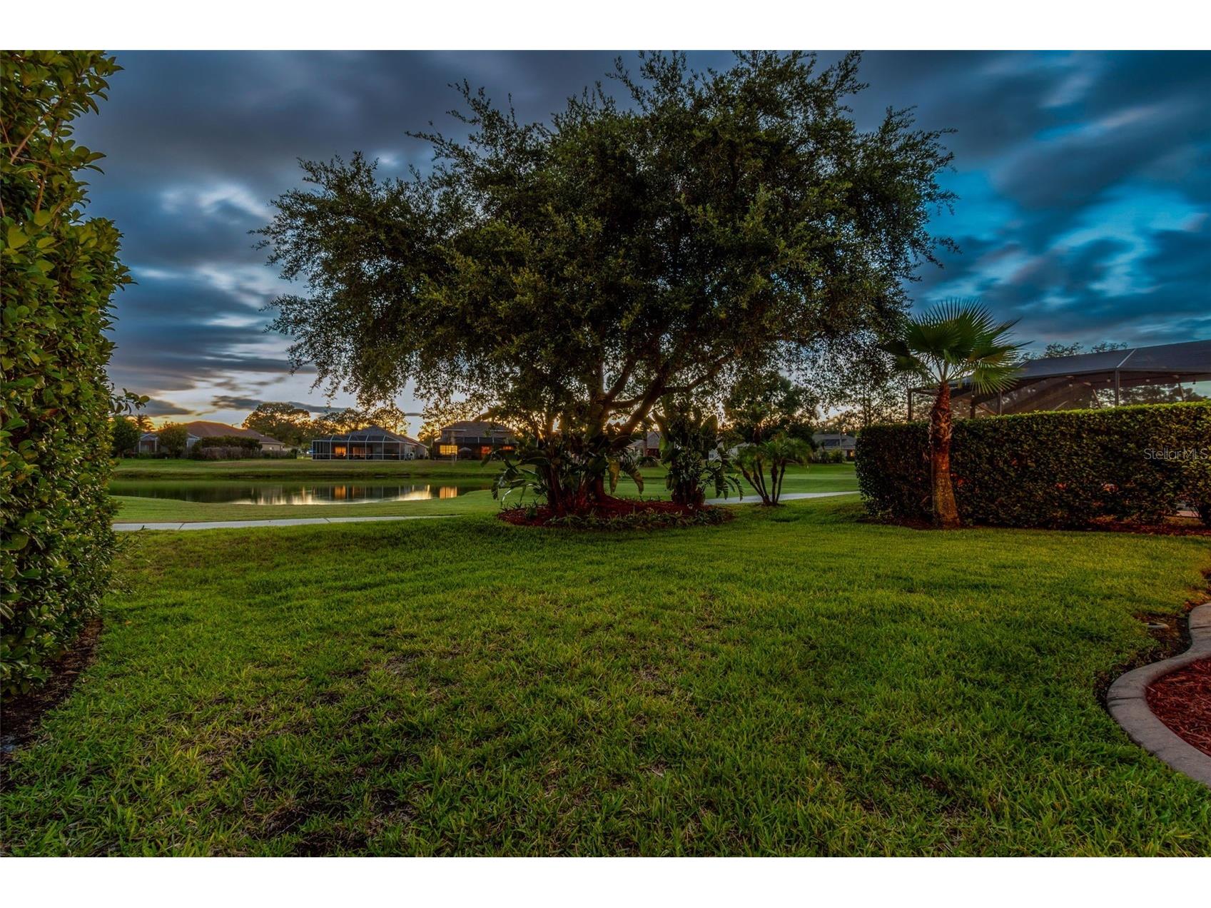 3553 Morgans Bluff Court Land O Lakes FL 34639 TB8521682 image67