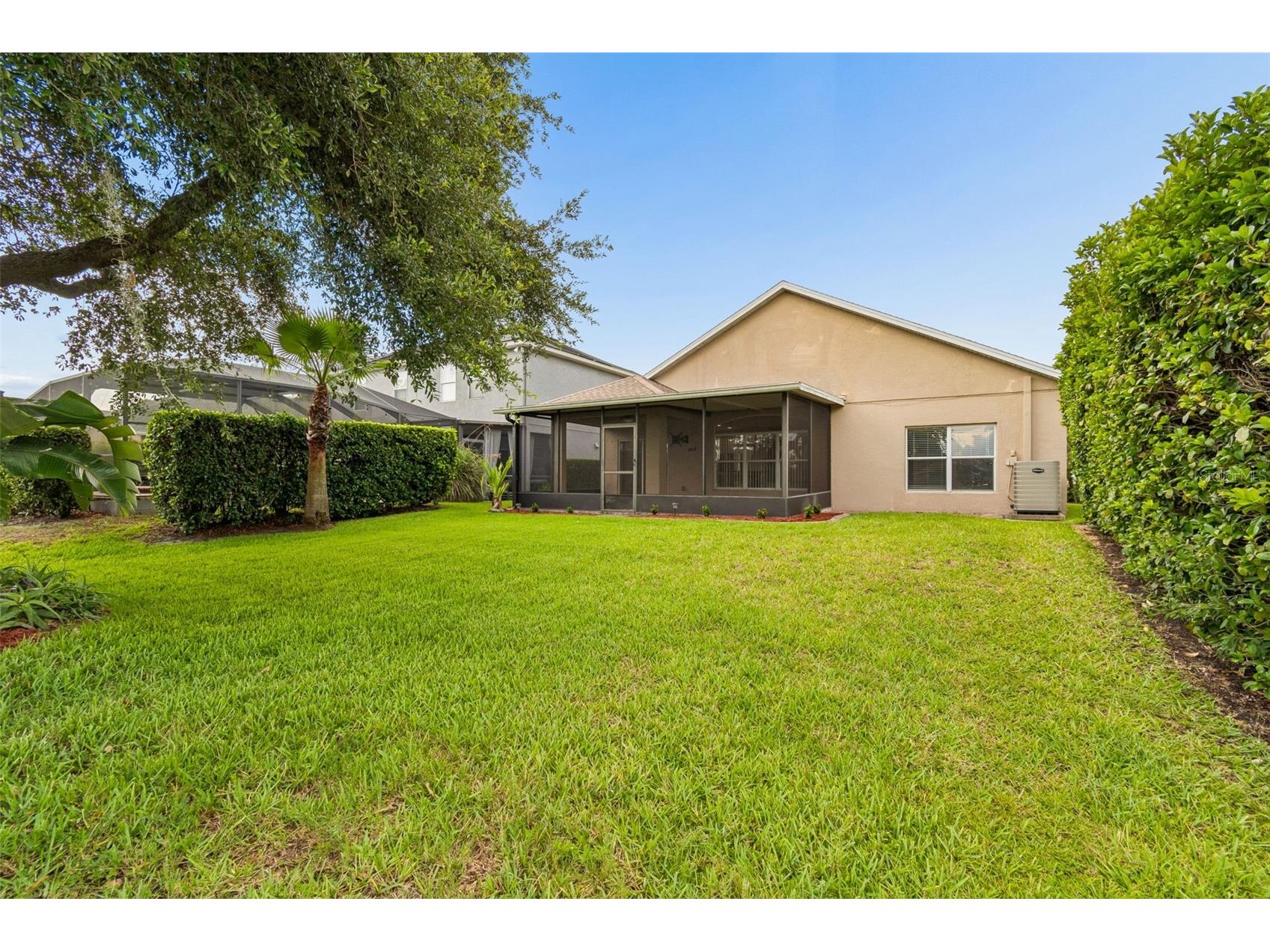 3553 Morgans Bluff Court Land O Lakes FL 34639 TB8521682 image69