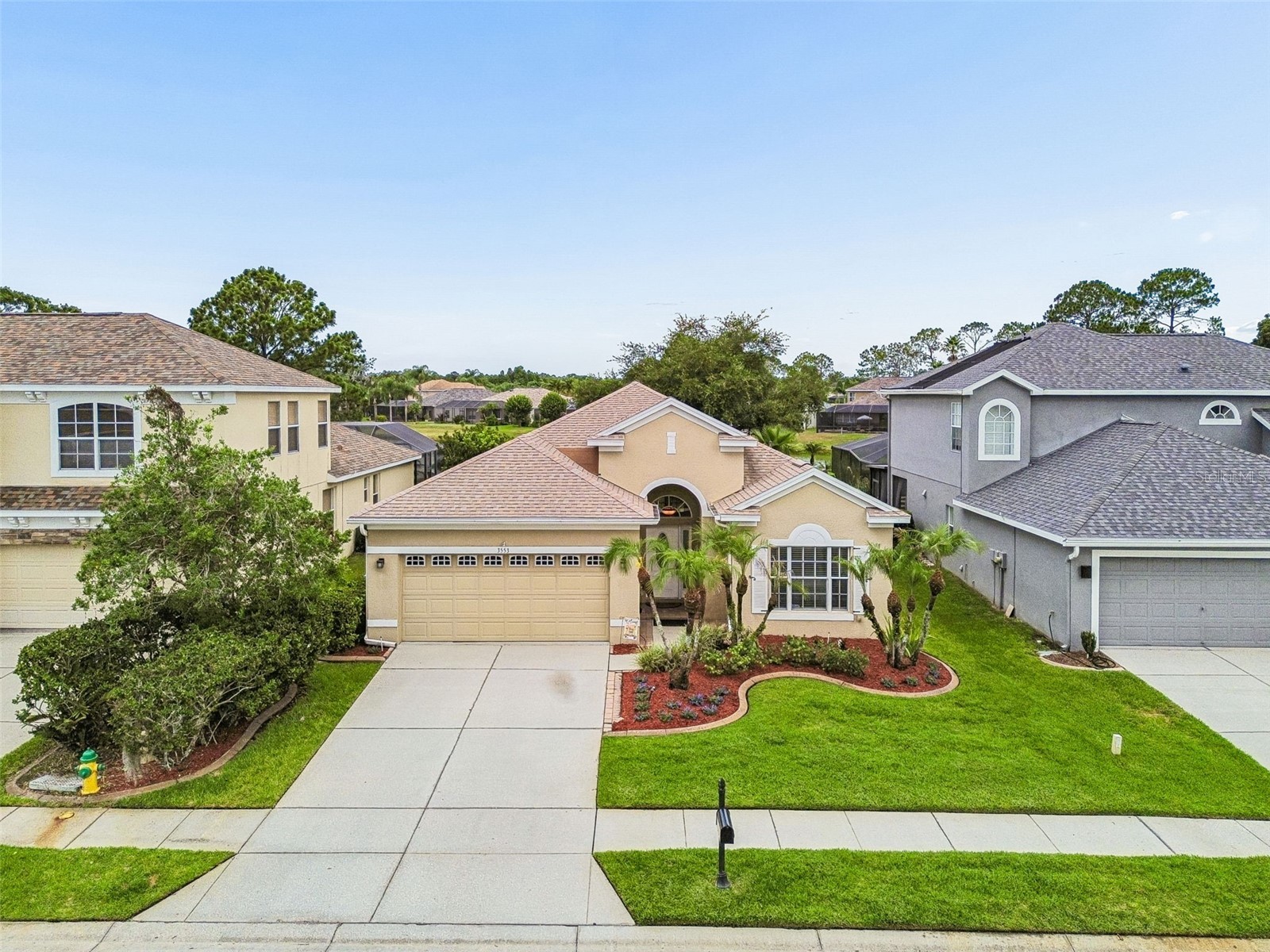 3553 Morgans Bluff Court Land O Lakes FL 34639 TB8521682 image7