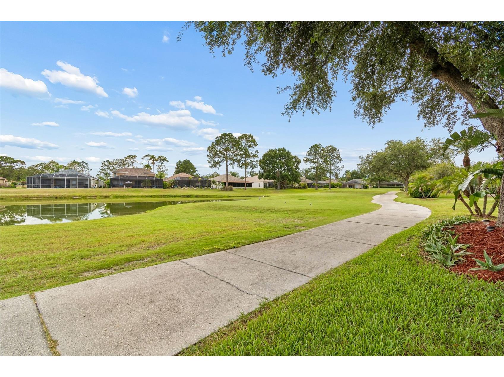 3553 Morgans Bluff Court Land O Lakes FL 34639 TB8521682 image71