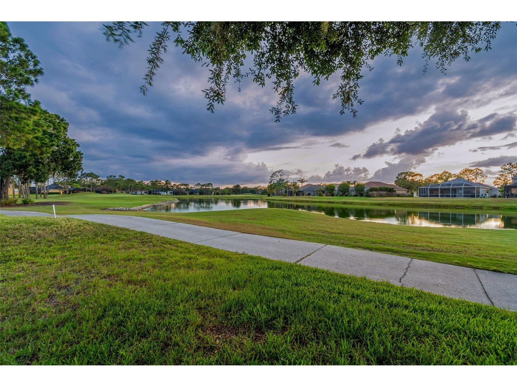 3553 Morgans Bluff Court Land O Lakes FL 34639 TB8521682 image77