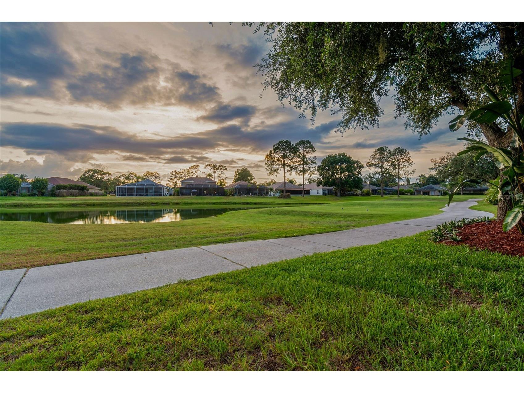 3553 Morgans Bluff Court Land O Lakes FL 34639 TB8521682 image78
