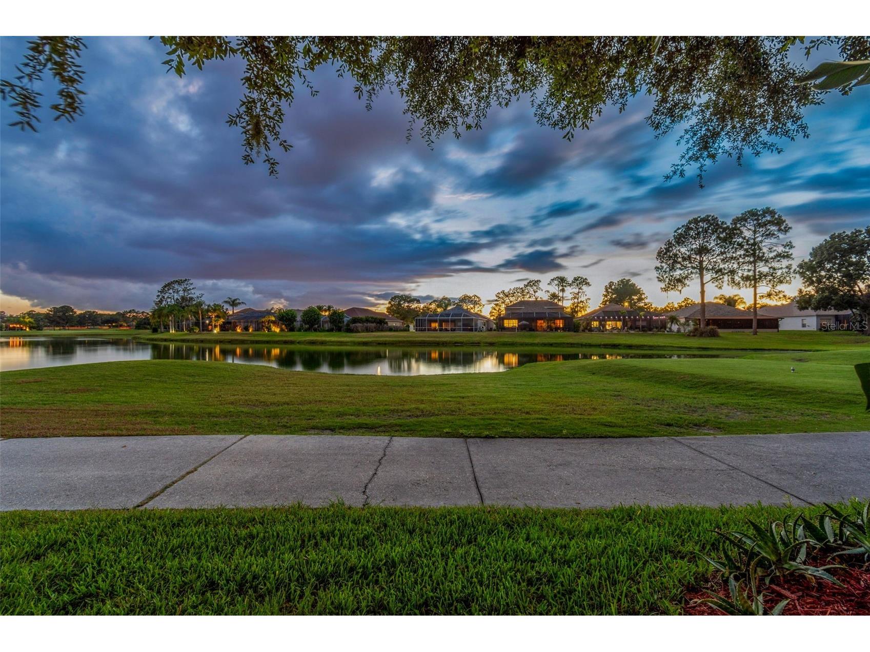 3553 Morgans Bluff Court Land O Lakes FL 34639 TB8521682 image79