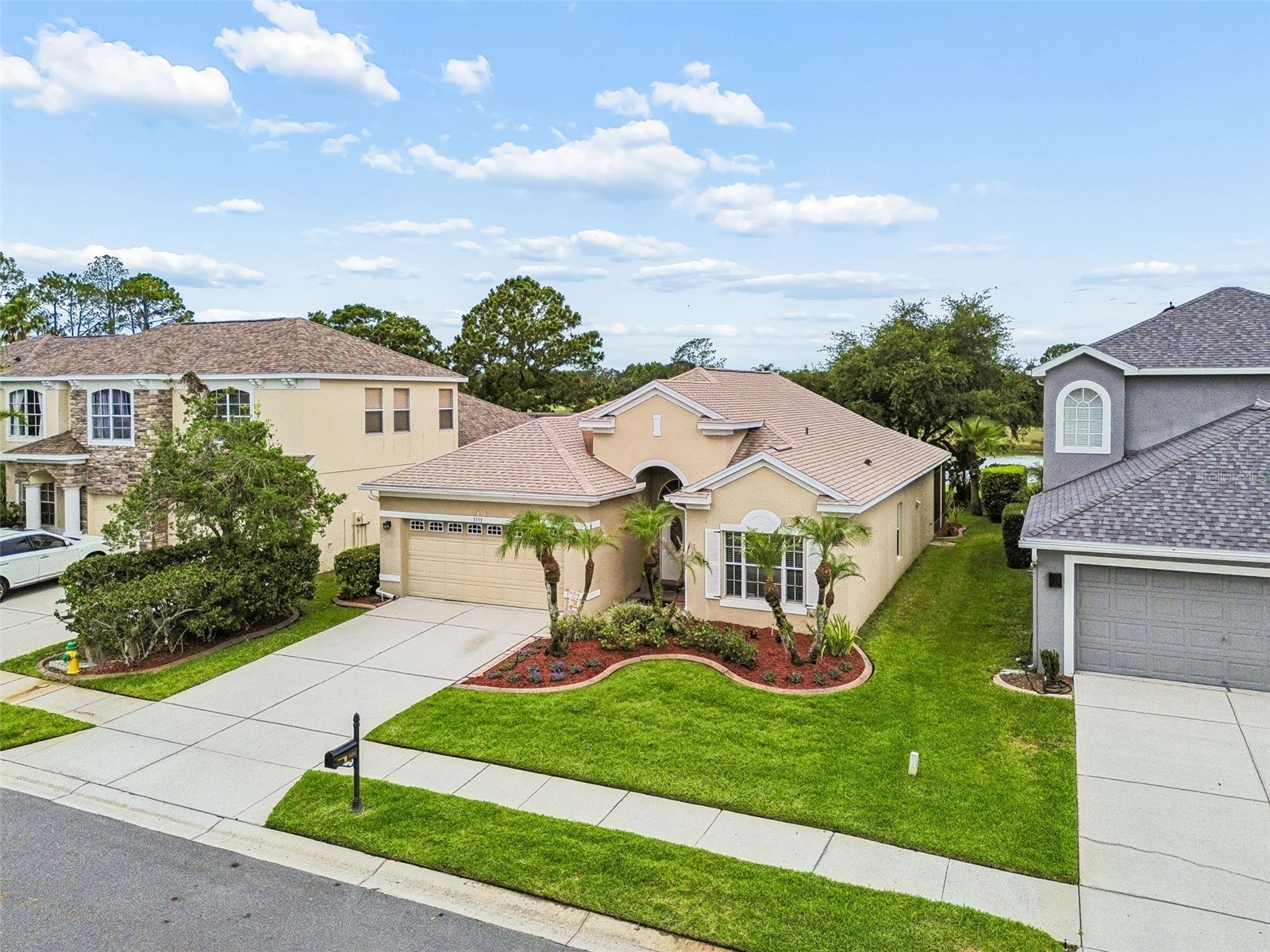 3553 Morgans Bluff Court Land O Lakes FL 34639 TB8521682 image8