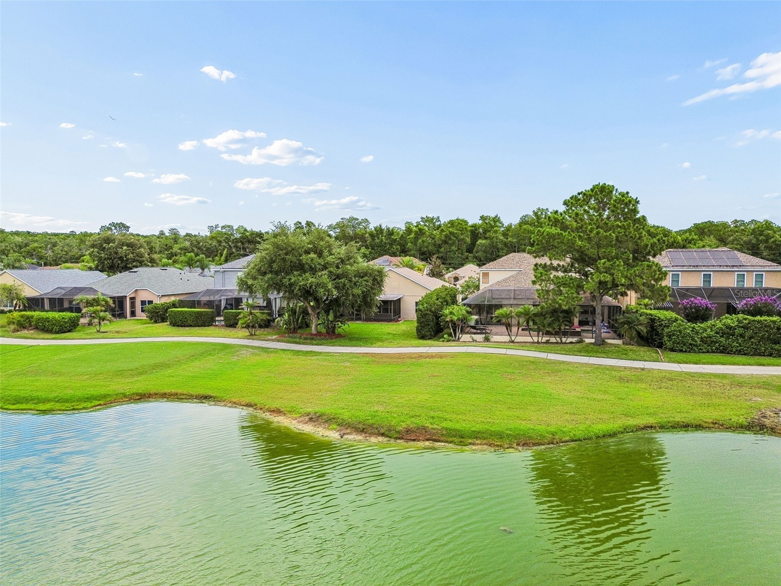 3553 Morgans Bluff Court Land O Lakes FL 34639 TB8521682 image80