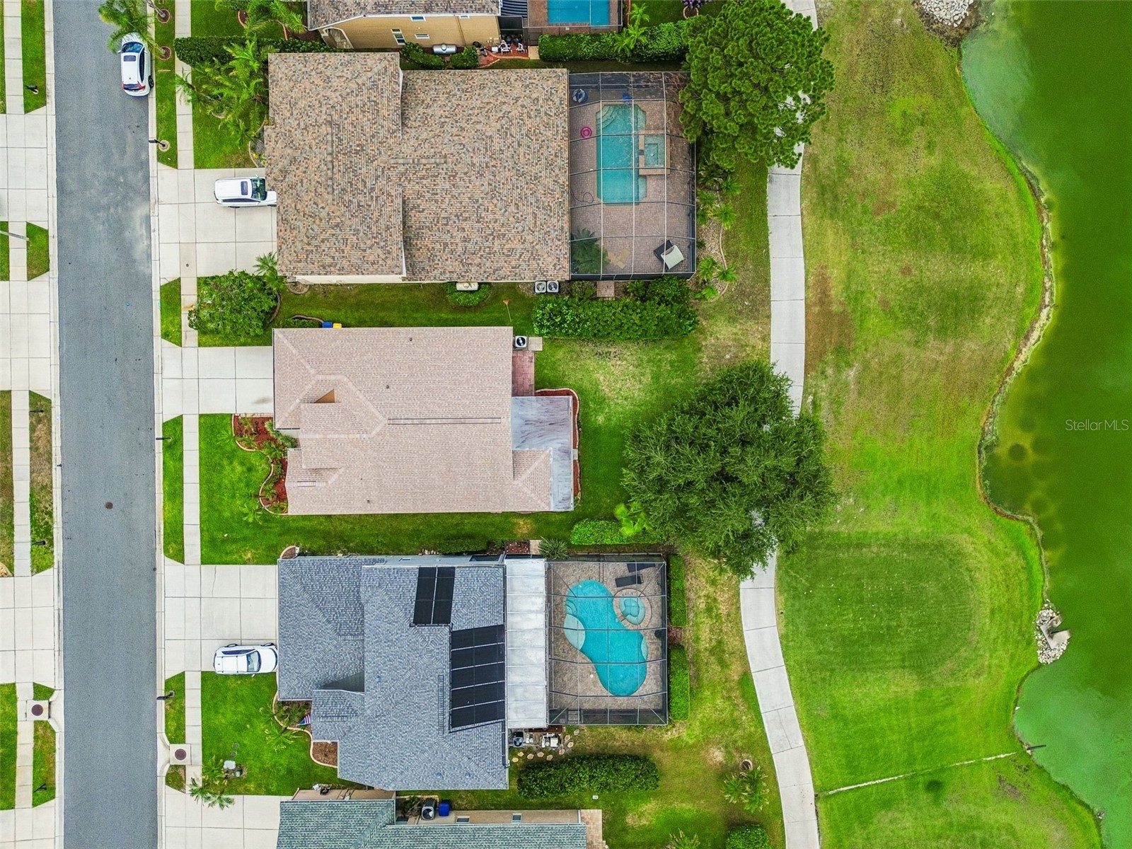 3553 Morgans Bluff Court Land O Lakes FL 34639 TB8521682 image81