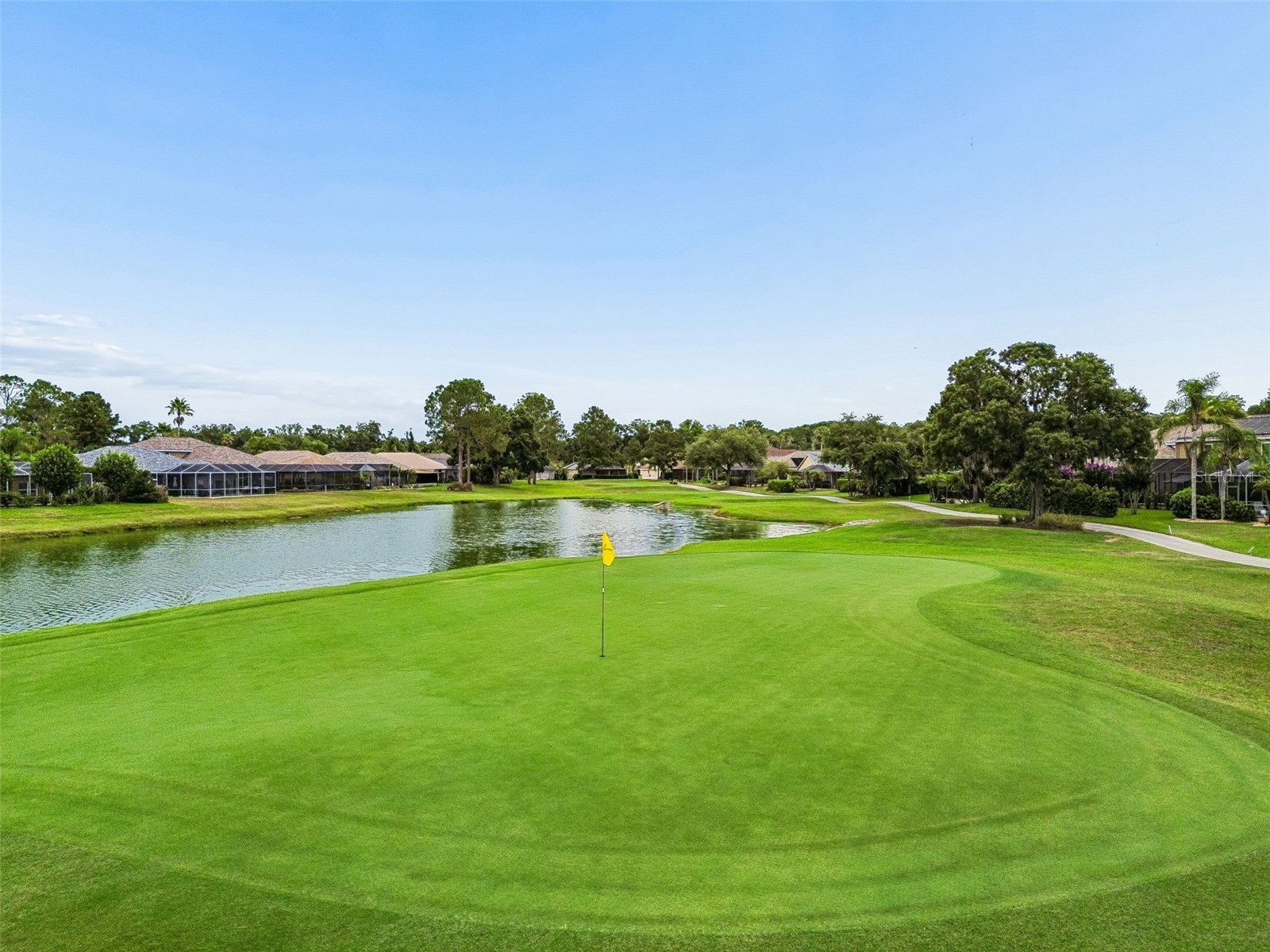 3553 Morgans Bluff Court Land O Lakes FL 34639 TB8521682 image85