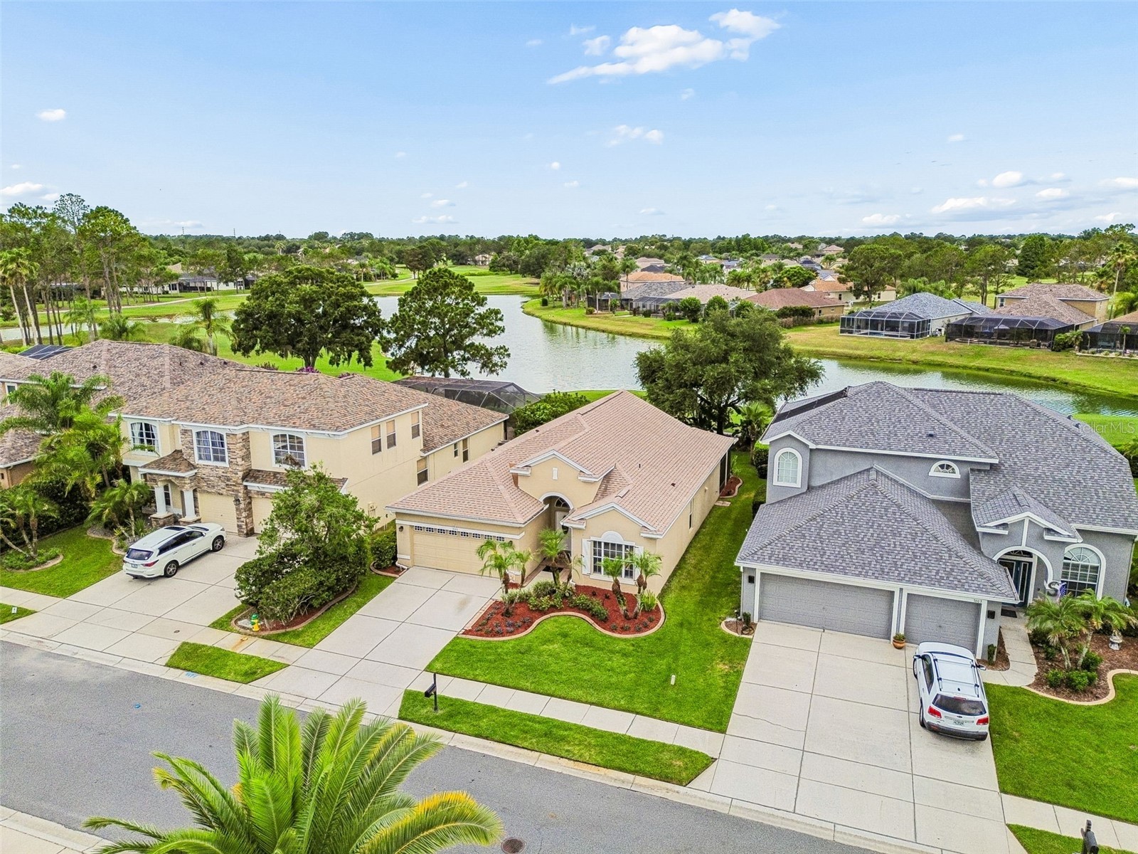 3553 Morgans Bluff Court Land O Lakes FL 34639 TB8521682 image9