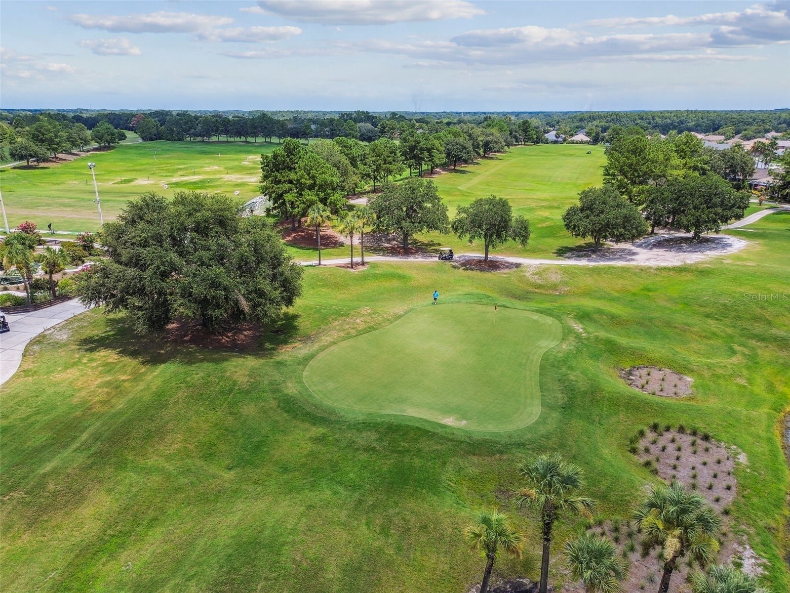 3553 Morgans Bluff Court Land O Lakes FL 34639 TB8521682 image94
