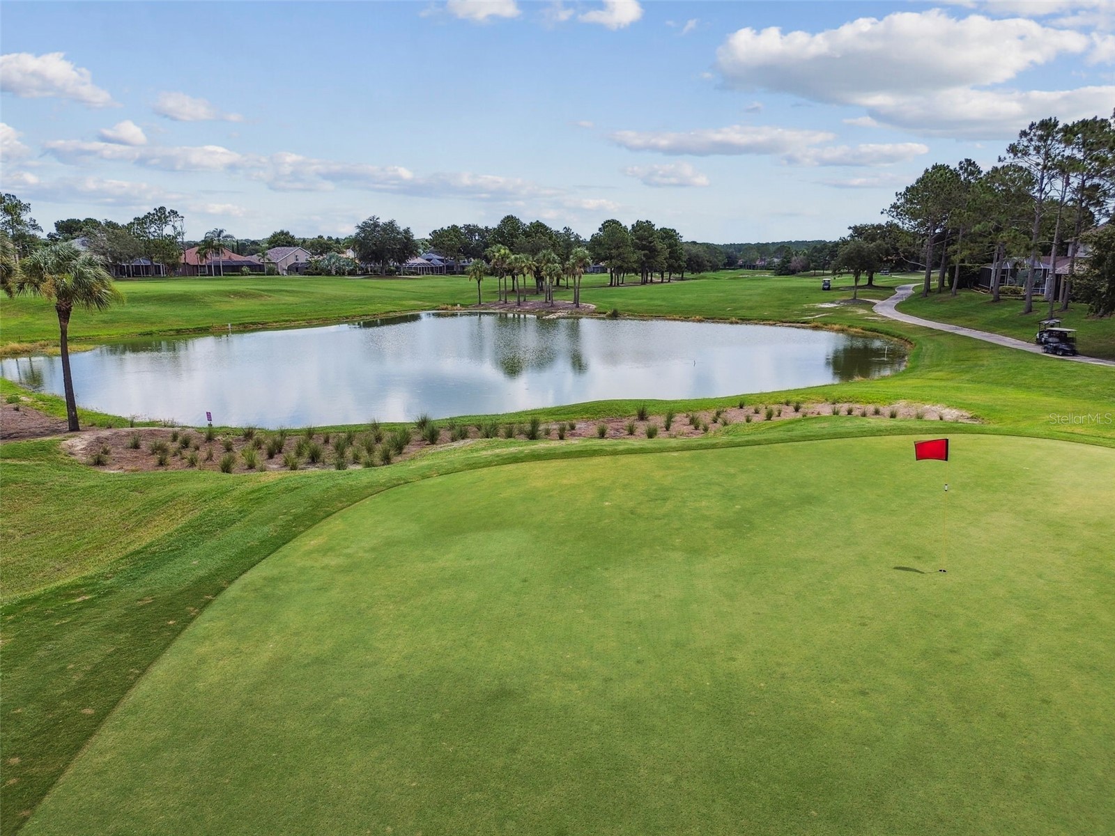 3553 Morgans Bluff Court Land O Lakes FL 34639 TB8521682 image95