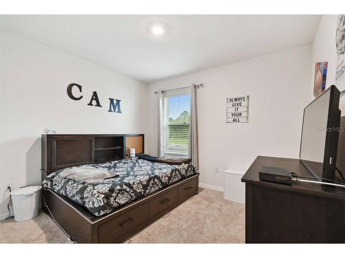 35533 Stella Vast Drive Zephyrhills FL 33541 TB8449242 image10