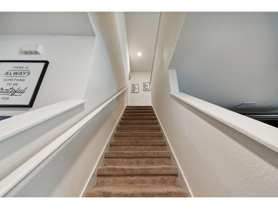 35533 Stella Vast Drive Zephyrhills FL 33541 TB8449242 image11