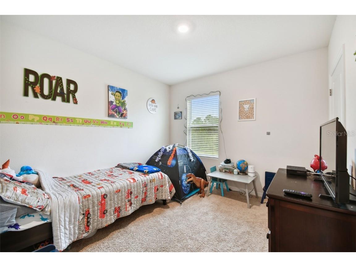 35533 Stella Vast Drive Zephyrhills FL 33541 TB8449242 image12