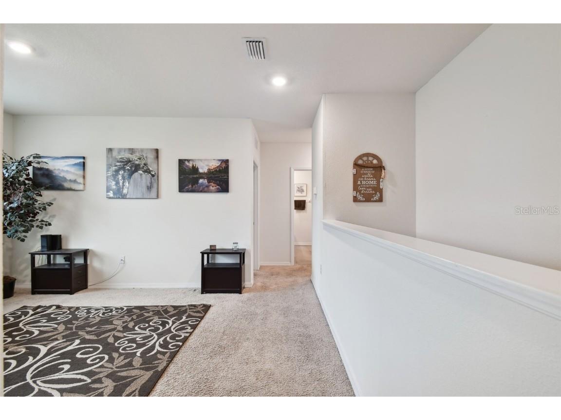 35533 Stella Vast Drive Zephyrhills FL 33541 TB8449242 image14