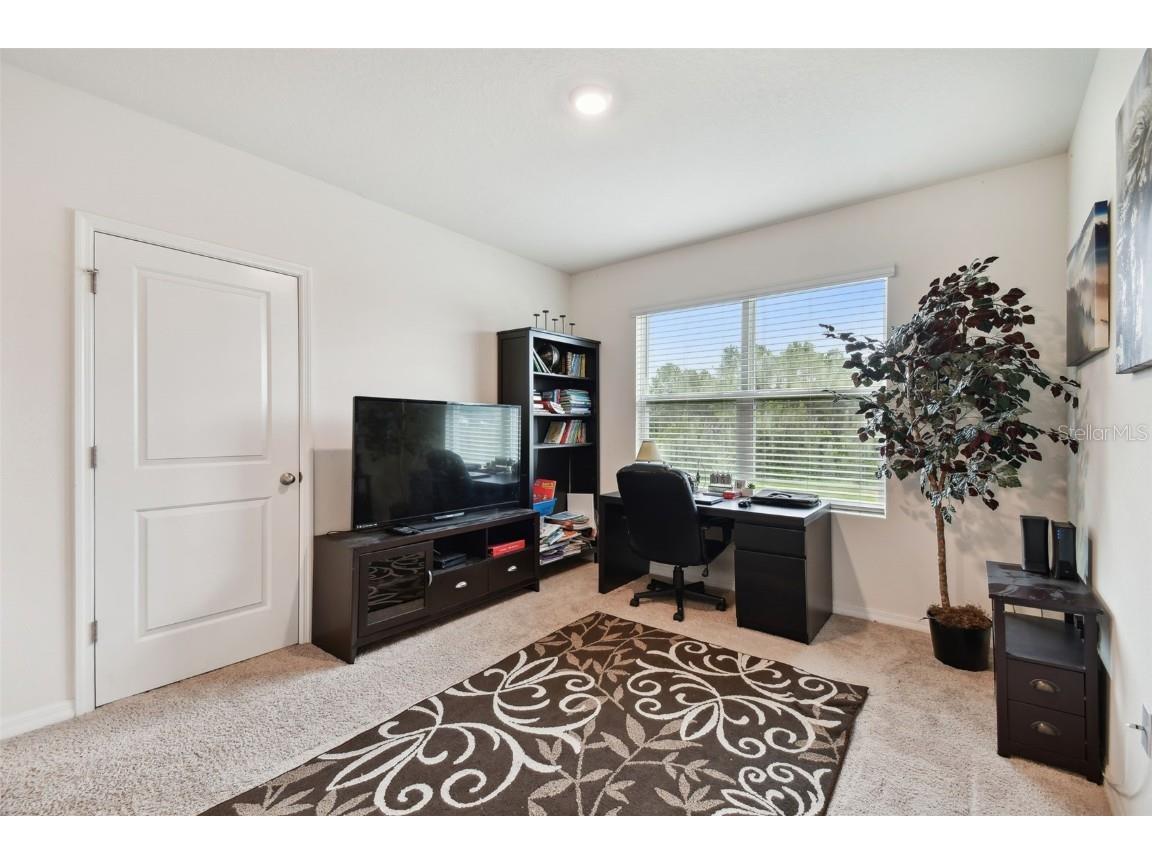 35533 Stella Vast Drive Zephyrhills FL 33541 TB8449242 image15