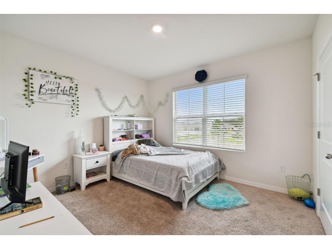 35533 Stella Vast Drive Zephyrhills FL 33541 TB8449242 image16