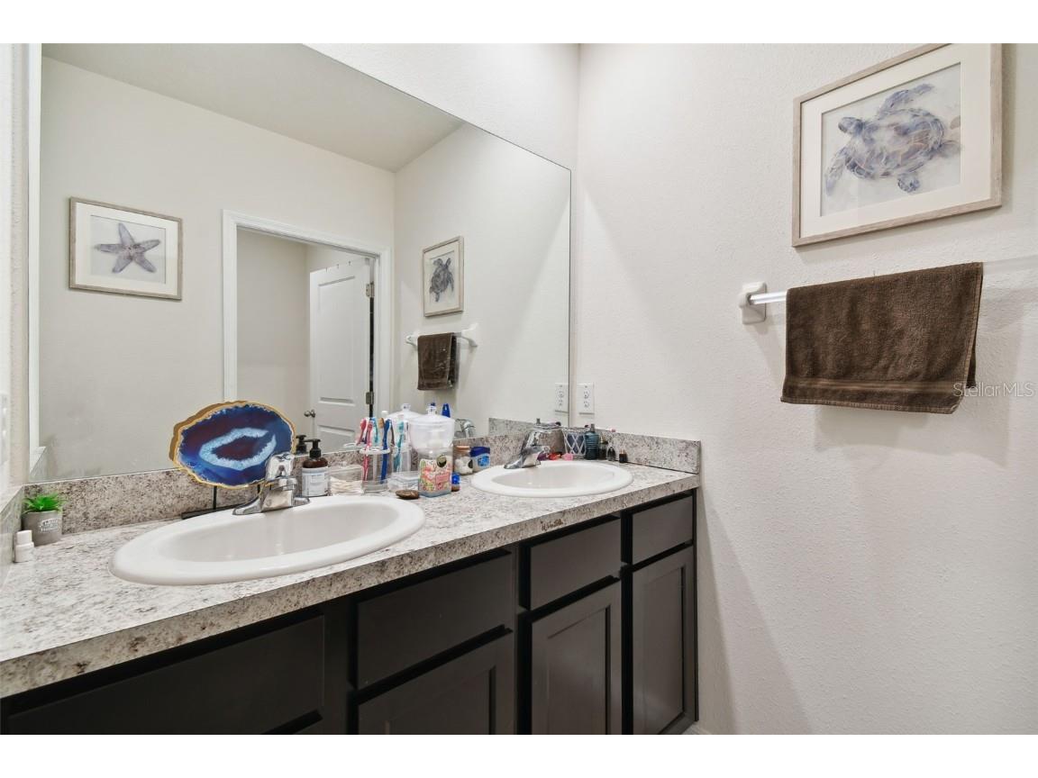 35533 Stella Vast Drive Zephyrhills FL 33541 TB8449242 image18