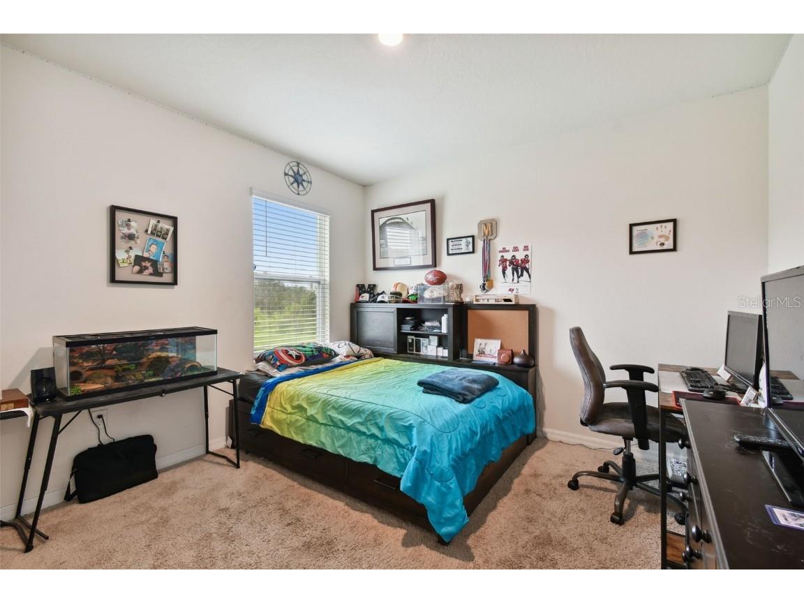 35533 Stella Vast Drive Zephyrhills FL 33541 TB8449242 image20