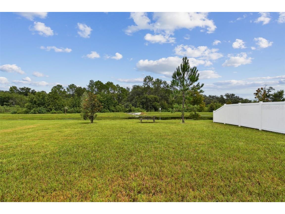 35533 Stella Vast Drive Zephyrhills FL 33541 TB8449242 image26