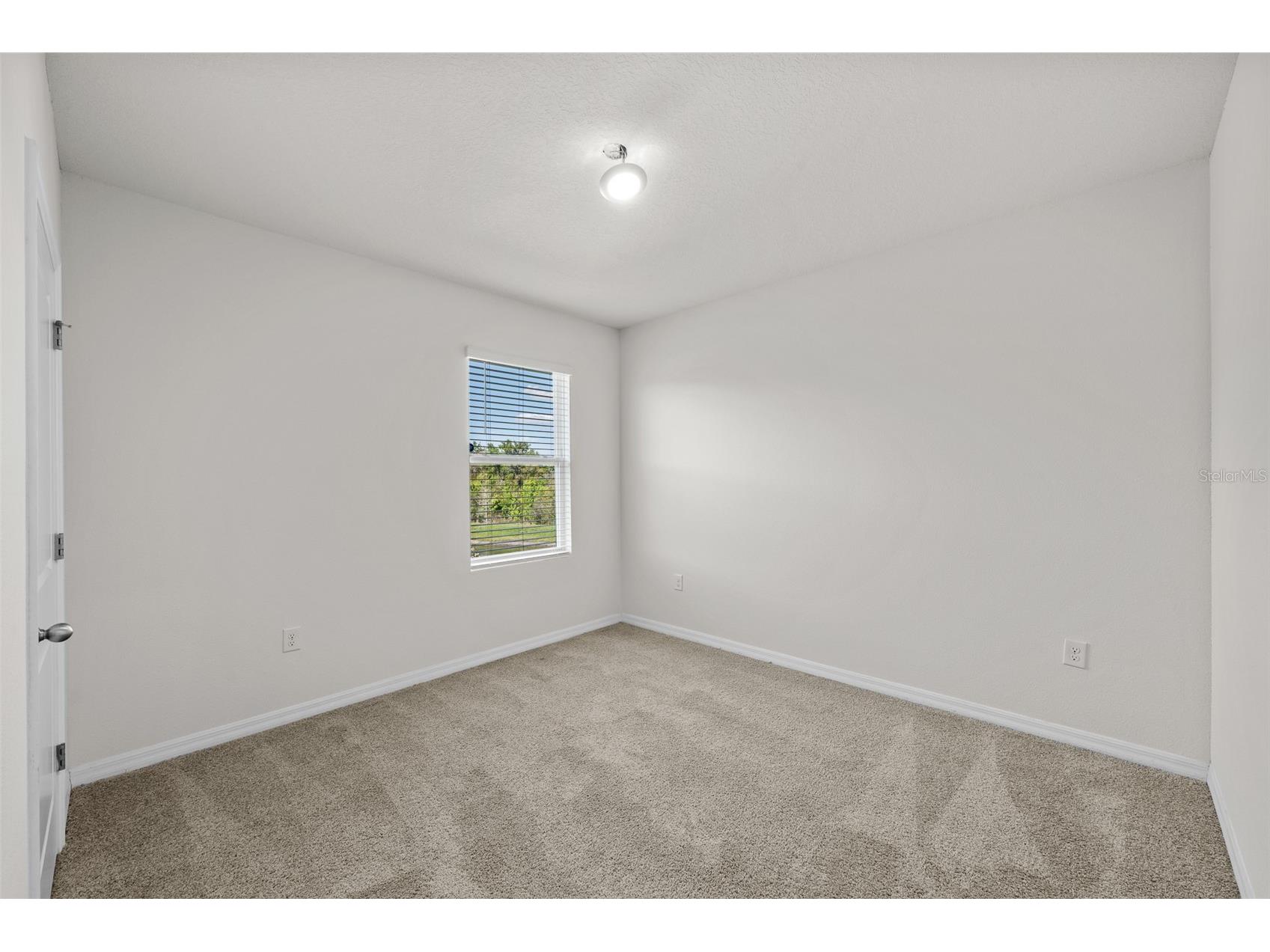 35533 Stella Vast Drive Zephyrhills FL 33541 TB8449242 image30