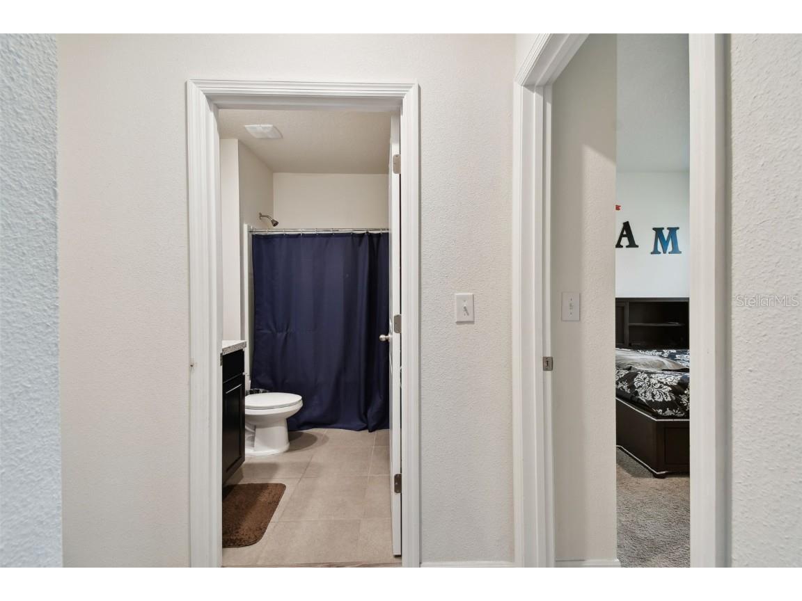 35533 Stella Vast Drive Zephyrhills FL 33541 TB8449242 image9