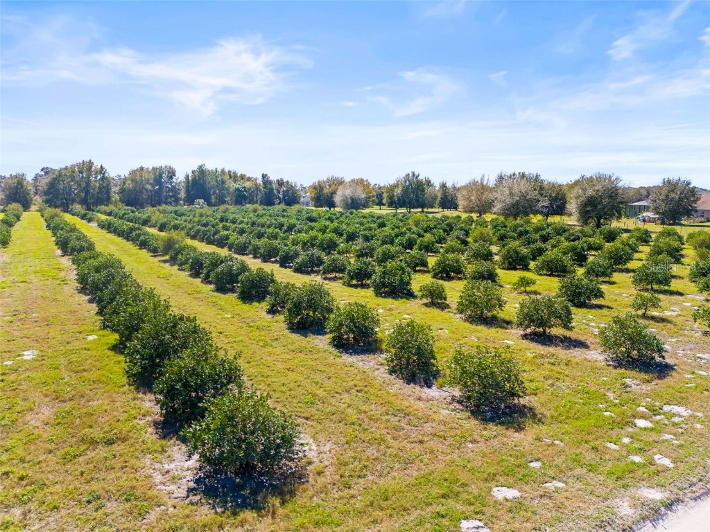 35538 Fairview Heights Road Zephyrhills FL 33541 O6178064 image1