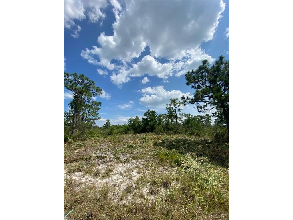 3554 Mariana Avenue Lake Placid FL 33852 O6206350 image3