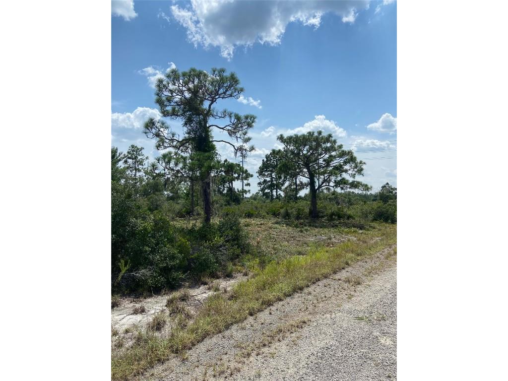 3554 Mariana Avenue Lake Placid FL 33852 O6206350 image6