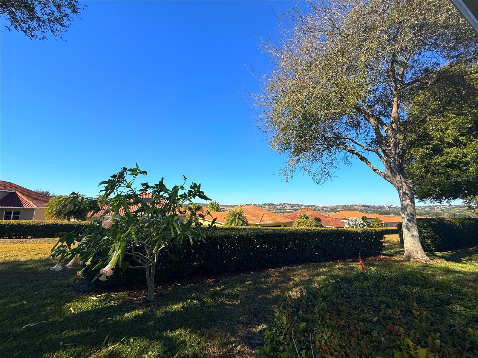 3554 Rollingbrook Street Clermont FL 34711 G5106948 image2